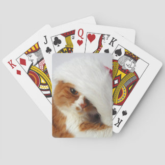 Baralho Gato Fofo Usando Chapéu de Papai Noel Jogando Cart