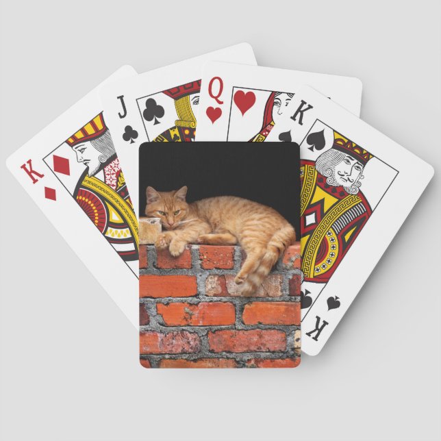 Baralho Gato na Parede Brick (Verso)