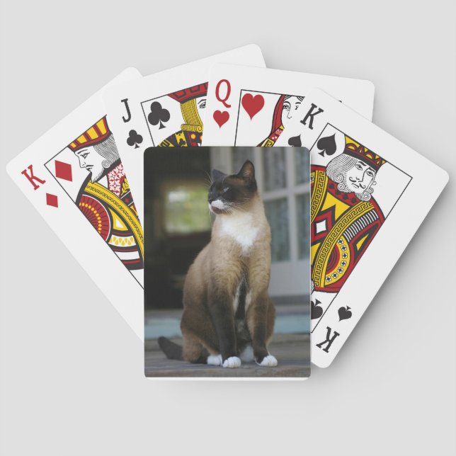 Baralho Gato Siamês no Porch (Verso)