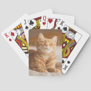 Baralho Gato sonolento das imagens de Getty