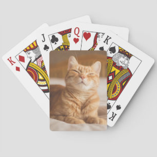 Baralho Gato sonolento das imagens de Getty
