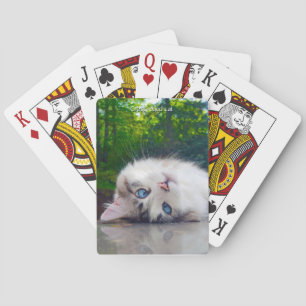 Baralho Gato vesgo