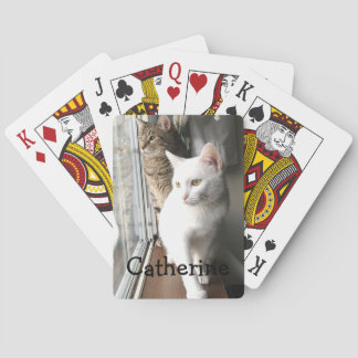 Baralho Gatos sentados pela janela