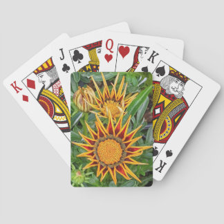 Baralho Gazania Flower Playing Cards