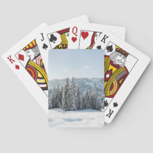 Baralho Gelo e neve Allgäu Bavaria Alemanha