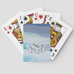 Baralho Gelo e neve Pinguins de adenda Antártica