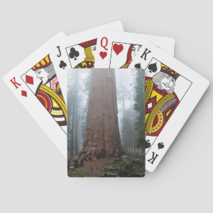 Baralho General Sherman Tree, Sequoia, CA