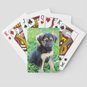 Baralho German shepherd