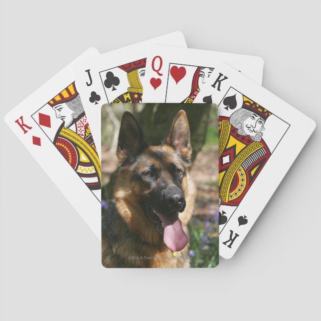 Baralho German shepherd (Verso)