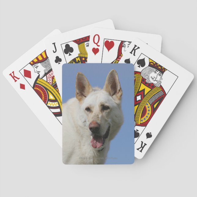 Baralho German shepherd branco (Verso)