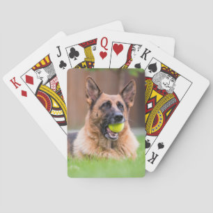 Baralho German shepherd Com Bola De Tênis
