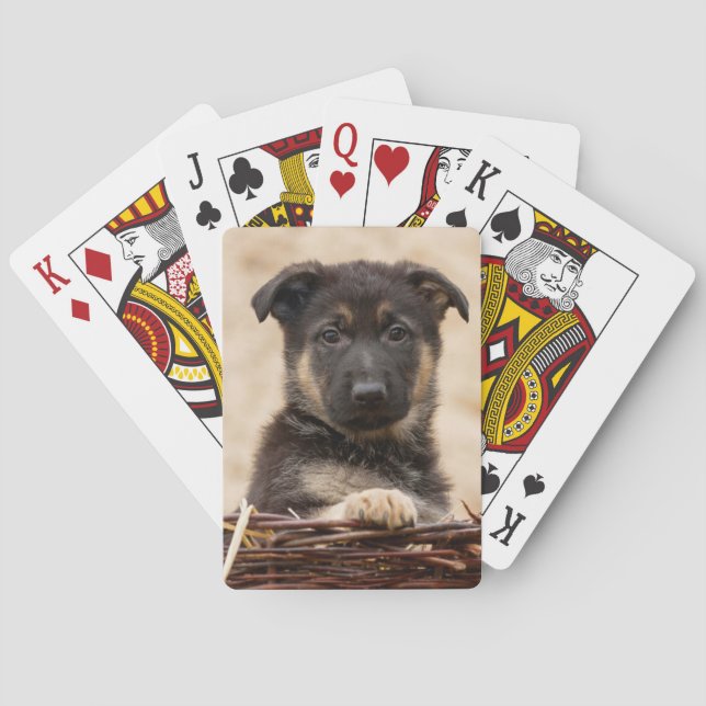 Baralho German shepherd Em Cesta (Verso)