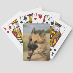 Baralho German shepherd que cola a língua para fora