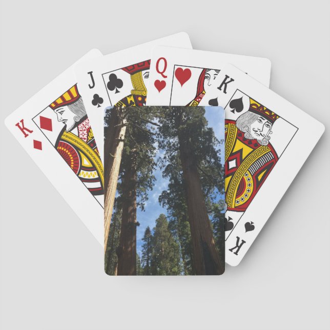 Baralho Giant Sequoia (Verso)