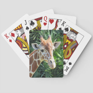 Baralho Girafa - Cartões De Brincadeira