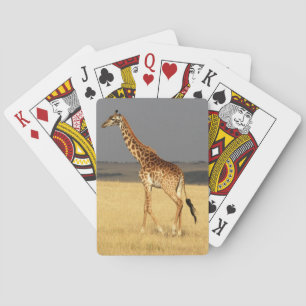 Baralho Girafa cheio da África Animais Africanos