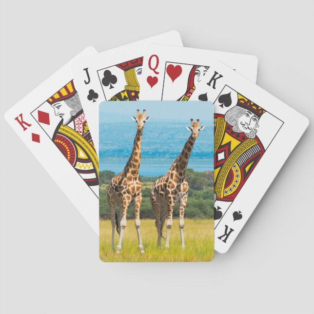 Baralho Girafas na Savana, Uganda (Verso)