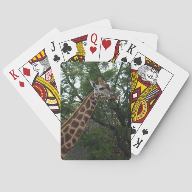 Baralho Giraffe Passando Por Parklands, (Verso)
