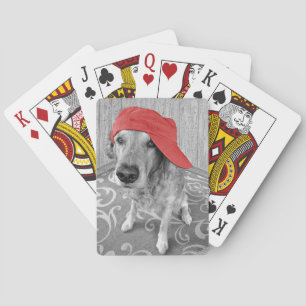 Baralho Golden retriever com boné vermelho