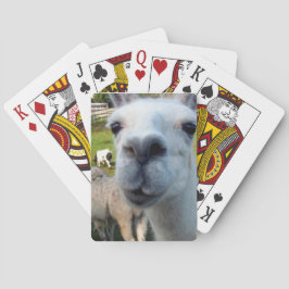 Baralho Goofy Llama Playing Cards