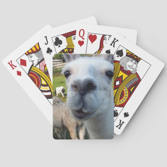 Baralho Goofy Llama Playing Cards (Verso)