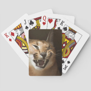 Baralho Goofy Lynx