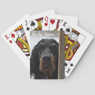 Baralho Gordon Setter em Placas de Reprodução de Inverno