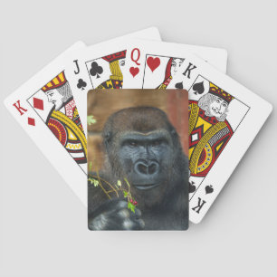 Baralho Gorilla E Suas Berries