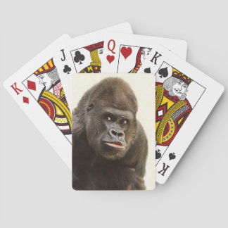 Baralho Gorilla Pout