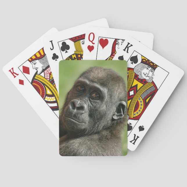 Baralho Gorilla Youngster (Verso)