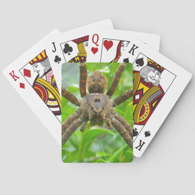 Baralho Grande Aranha Marrom (Verso)