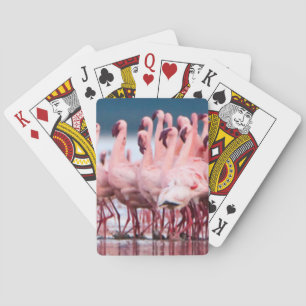 Baralho Grande Grupo de Flamingos Menores