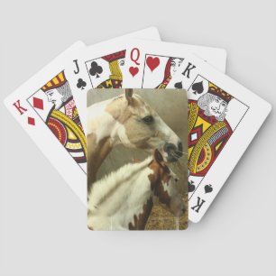 Baralho Gray Eventing Horse Deck of Cards