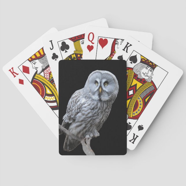 Baralho Great Gray Owl (Verso)