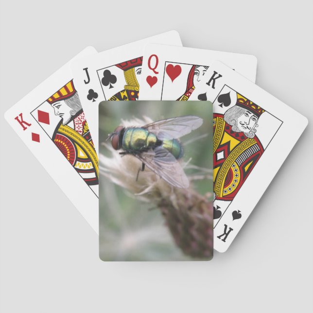 Baralho Green Bottle Fly Macro Playing Cards (Verso)