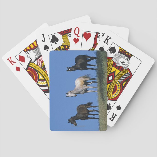 Baralho Grupo de Árabes (Verso)