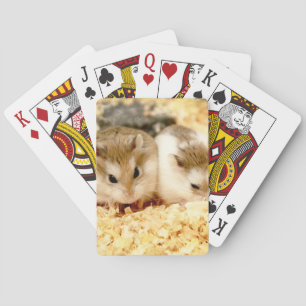 Baralho Hammyville - Hamster Bonito