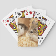 Hammyville - Hamster Bonito