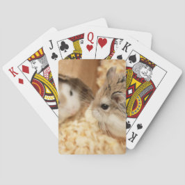 Baralho Hammyville - Hamster Bonito