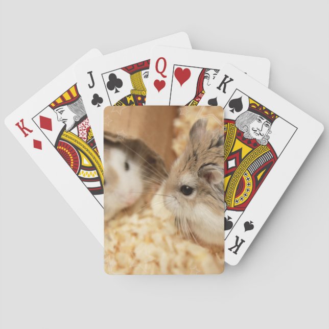 Baralho Hammyville - Hamster Bonito (Verso)