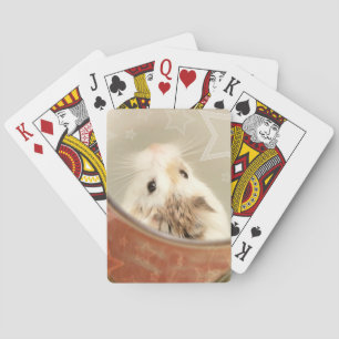 Baralho Hammyville - Hamster Bonito