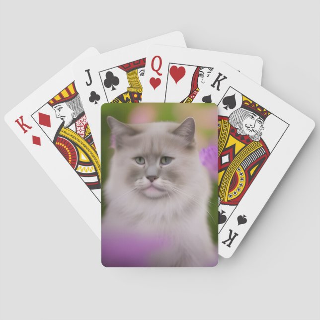 Baralho Handsome Maine Coon Himalayan Cat (Verso)