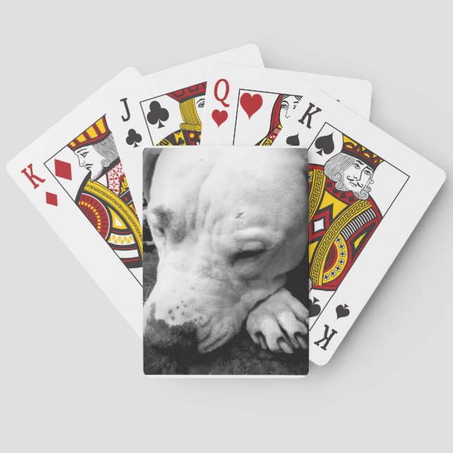 Baralho harry potter scar dog white pit bull (Verso)