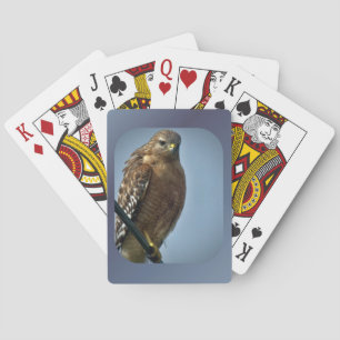 Baralho Hawk de ombros vermelhos