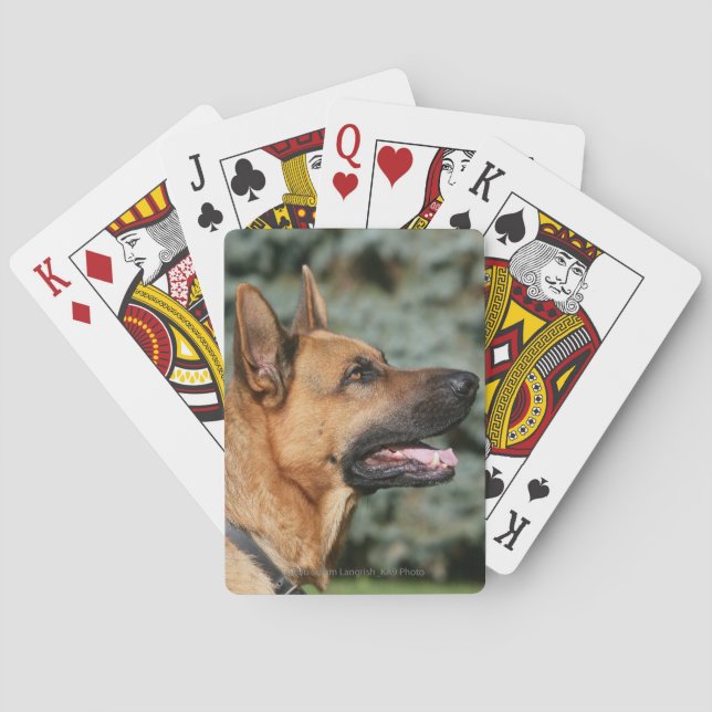 Baralho Headshot 1 do german shepherd (Verso)