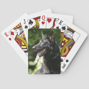 Baralho Headshot 2 do german shepherd