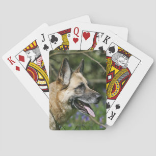 Baralho Headshot 3 do german shepherd