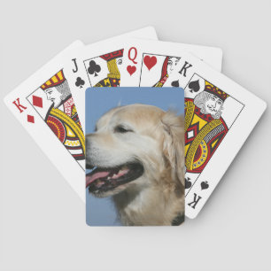 Baralho Headshot 4 do golden retriever