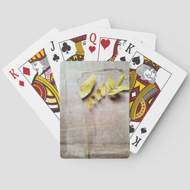 Baralho Herbário V (Verso)