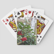 Holly Berries e Cerca - Martha's Vineyard